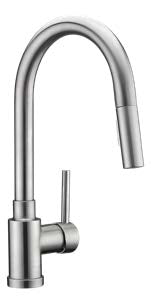 Allegheny Series Pull Down Kitchen Faucet