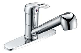 Champlain Series Pull Out Kitchen Faucet